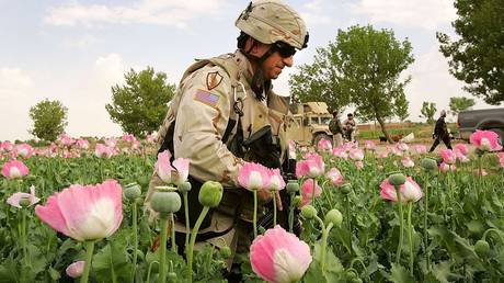 Taliban erreichen was die USA mit Opium nicht erreichen konnten