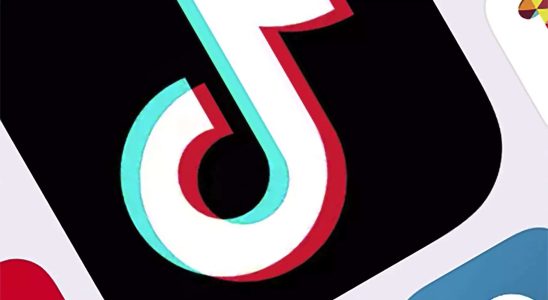 TikTok hat eine neue App die es mit Google und