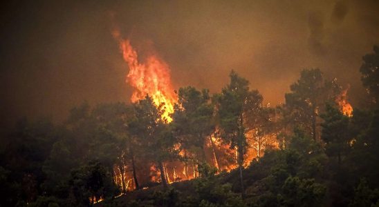 Touristen fliehen vor einem Waldbrand auf der griechischen Insel Rhodos