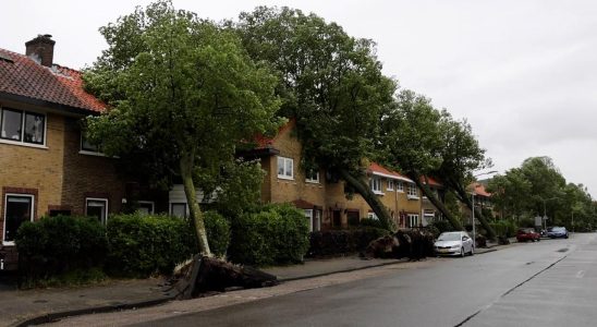 Wald kann nach einem schweren Sturm immer noch gefaehrlich sein