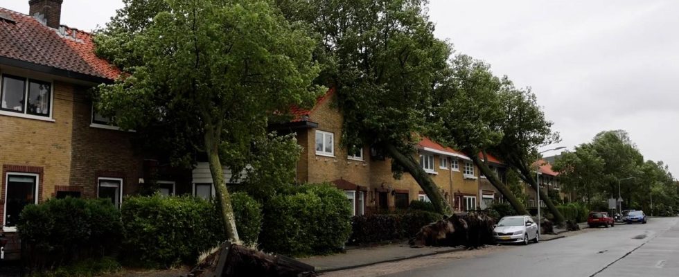 Wald kann nach einem schweren Sturm immer noch gefaehrlich sein