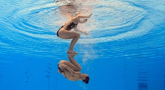 Wasserballspieler erreichen mit drei Siegen in Folge das Viertelfinale der