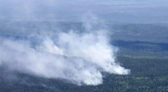 Weisswedelhirsch Waldbraende in Kanada verbrennen dieses Jahr ueber 10 Millionen