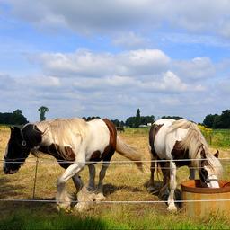 Wettervorhersage Mix aus Sonne und Wolken und angenehmen Temperaturen