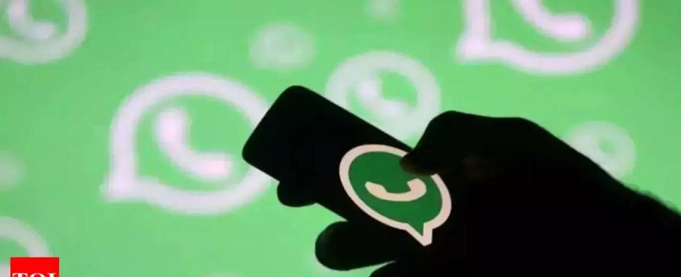 Avatar Reaktionen WhatsApp beginnt mit dem Testen von Avatar Reaktionen So funktioniert