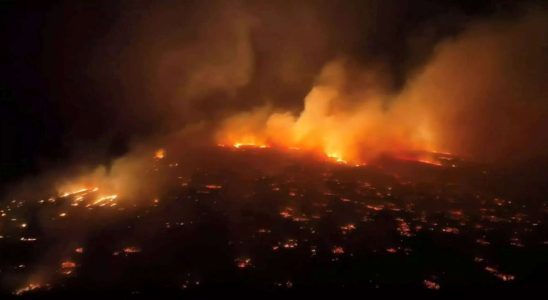 Bei Waldbraenden auf Maui kommen sechs Menschen ums Leben waehrend