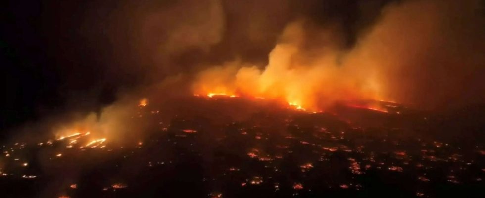 Bei Waldbraenden auf Maui kommen sechs Menschen ums Leben waehrend