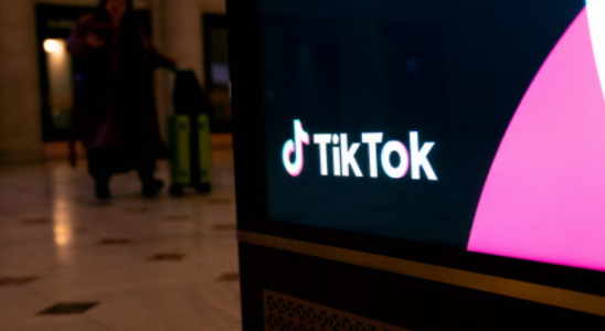 CapCut FCC Vorsitzender moechte dass die Welt Indiens „Tiktok Verbot befolgt