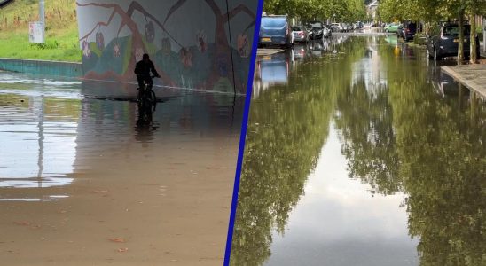 Code Gelb im Osten der Niederlande aufgrund von Gewittern Regen