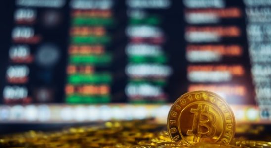 Da das Berufungsgericht zugunsten von Grayscale entscheidet koennte ein Bitcoin Spot ETF