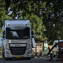 Die Vogelgrippe in Biddinghuizen ist eine neue Variante die unter