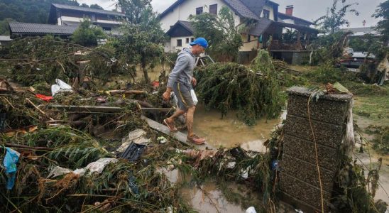 Diese Laender kaempfen nun gegen Waldbraende starken Regen oder einen