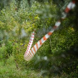 Drei Spaziergaenger in Belgien nach Angriff durch asiatische Hornissen ins