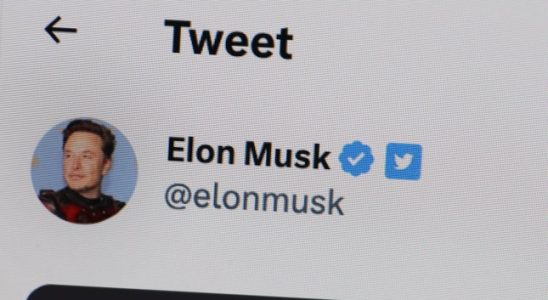 Elon Musk verspottet und blockiert seine eigenen Anhaenger