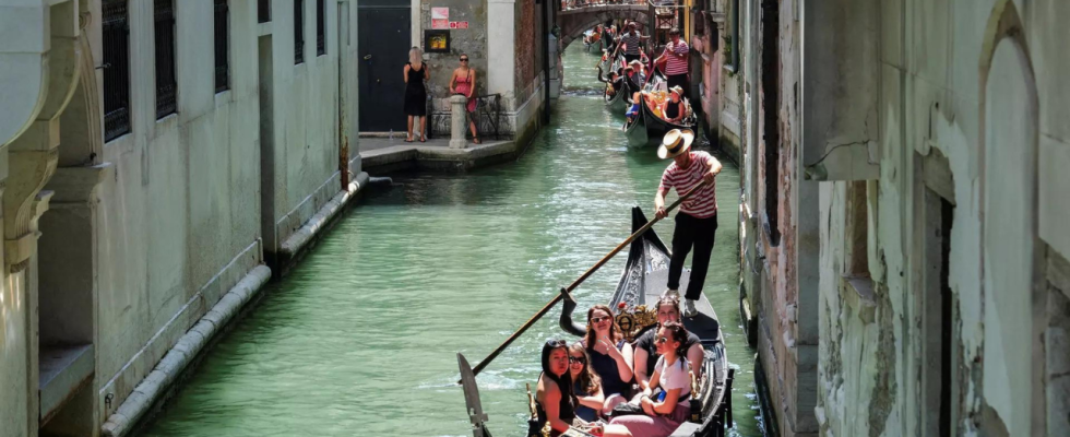 Filmfestspiele von Venedig Weniger Stars mehr Skandal bei den 80