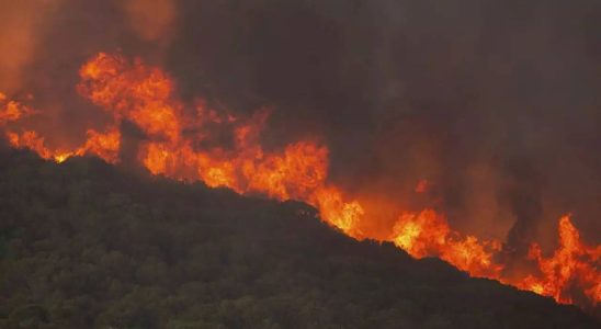 Griechenland kaempft seit sechs Tagen darum die wuetenden Waldbraende einzudaemmen