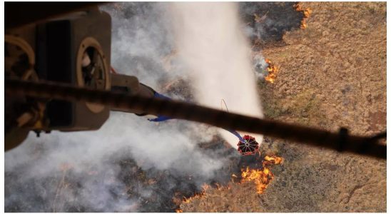 Hawaii Wildfire Wie ein Kriegsgebiet Hawaiis fliehende Touristen erzaehlen von