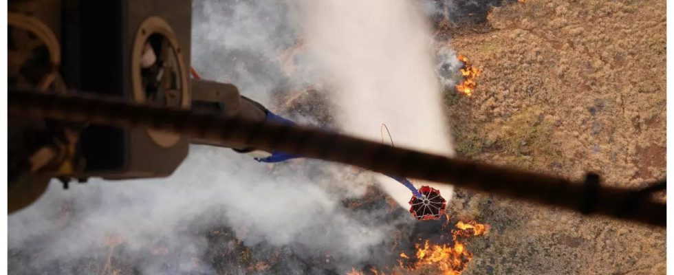 Hawaii Wildfire Wie ein Kriegsgebiet Hawaiis fliehende Touristen erzaehlen von