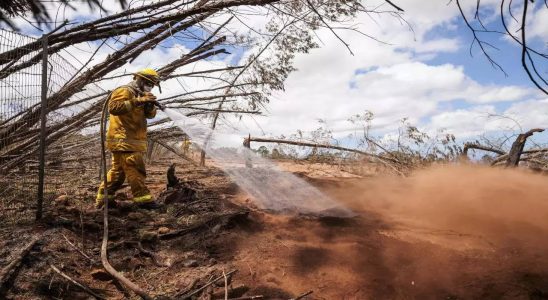 Hawaiian Electric Hawaiian Electric wird auf der Suche nach dem