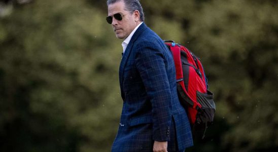 Hunter Biden „Hunter Biden hat seinem Vater die ‚Illusion des