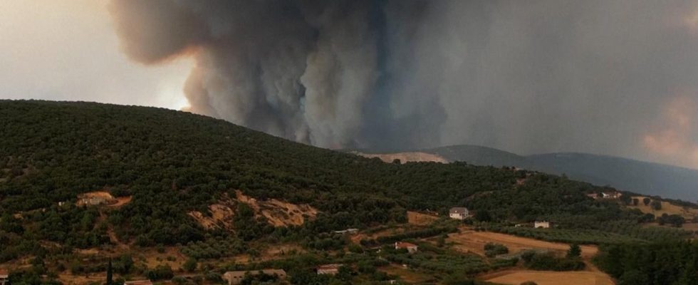 In Griechenland sind bereits 100000 Fussballfelder verloren Groesster Waldbrand in