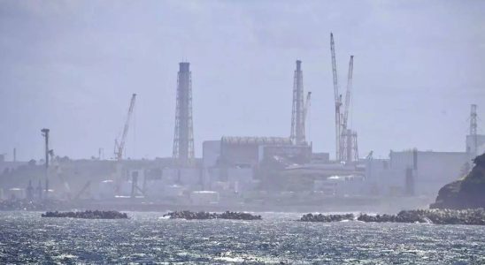 Japanische Meeresfruechte Abwasser aus Fukushima N Anlage freigesetzt China verbietet japanische Meeresfruechte