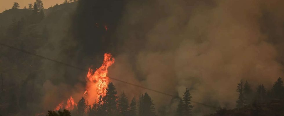 Kanadische Feuerwehrleute fuehren einen epischen Kampf um Gemeinden nach Massenevakuierungen