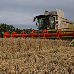 Lebensmittelpreise steigen aufgrund extremer Wetterbedingungen und Ausverkaufsabkommen Wirtschaft