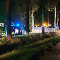 Maedchen starb bei Unfall bei dem Minderjaehrige gegen einen Baum