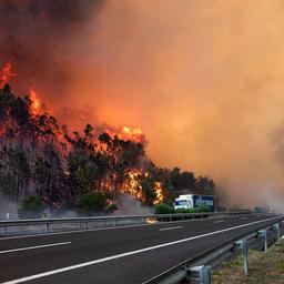 Mindestens 1400 Menschen muessen wegen Waldbrand in Portugal ihre Haeuser