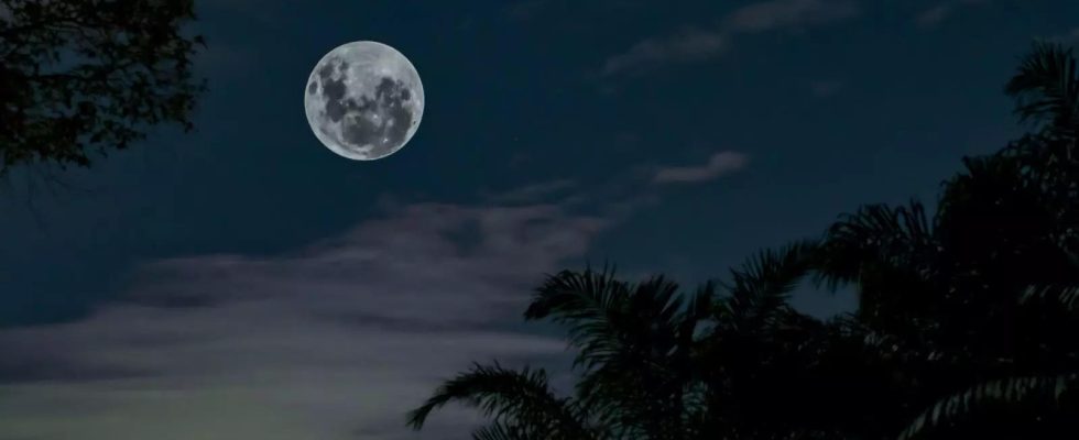 Mond Super Blue Moon 2023 So sehen Sie den Live Stream