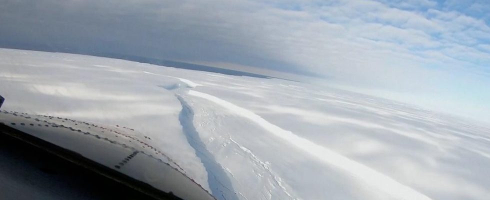 Schnell broeckelndes Meereis erweist sich fuer Kaiserpinguine als katastrophal