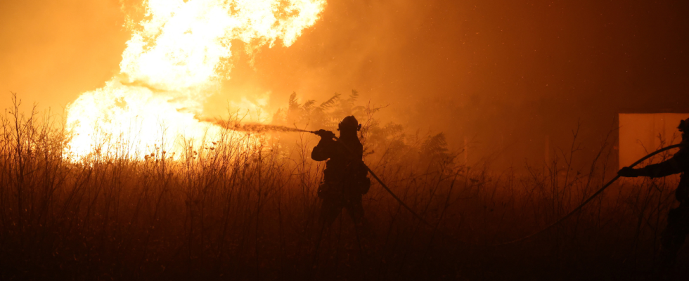 Spanien Waldbrand in Griechenland 20 Leichen in vom Waldbrand heimgesuchtem