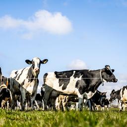 Stickstoffanforderungen werden strenger Die Natur reagiert empfindlicher auf Stickstoff als