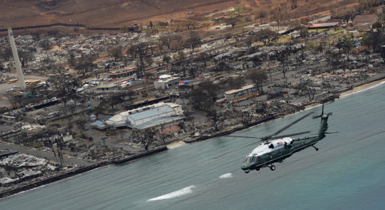 Waldbraende auf Maui Maui steht vor der Herausforderung nach einem