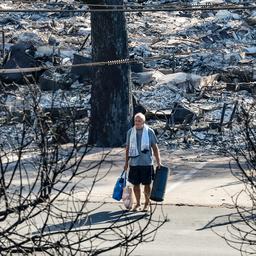 Waldbraende auf Maui sind die toedlichsten in den USA seit