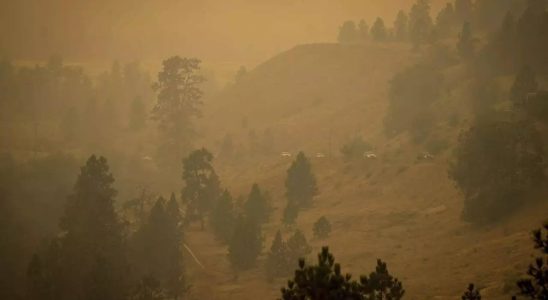 Waldbraende im Westen Kanadas zwingen Zehntausende zur Flucht