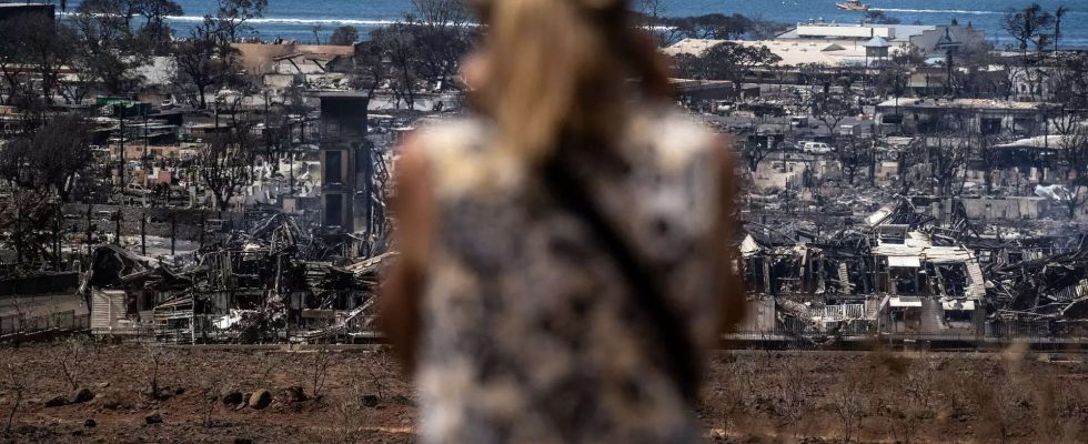 Waldbrand auf Hawaii Gebete Terror und ein Wettlauf um die