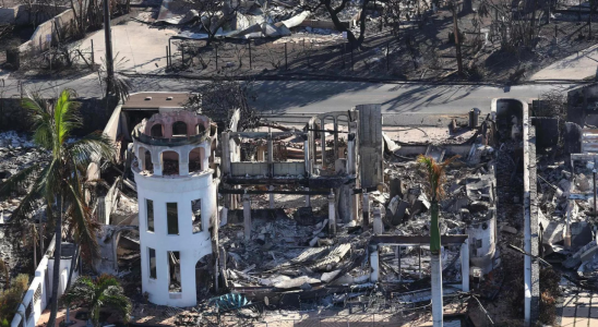 Waldbrand auf Maui toetet 59 Menschen und hinterlaesst schmerzhafte Fragen