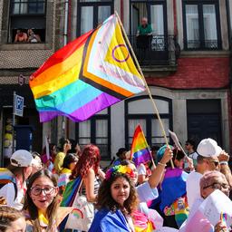 Warum sieht die Pride Flagge immer anders aus Stolz