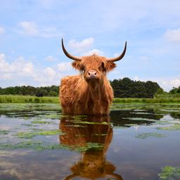 Wettervorhersage Erst ein paar Schauer dann ein schoener Sommertag mit