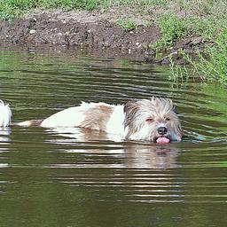 Wettervorhersage Gluehender Tag mit sommerlichen Temperaturen und viel Sonne am