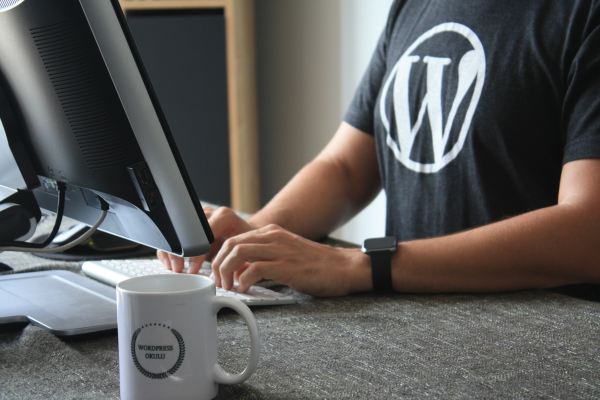 WordPress verkauft jetzt 100 Jahres Domains