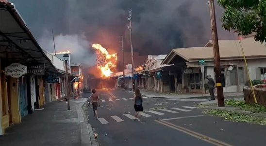 Zwoelf Menschen fliehen vor Waldbraenden auf Hawaii ans Meer