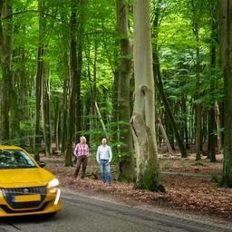 Abkuerzung durch die Veluwe Natur ist „Spitzenbelastung Aus anderen Medien