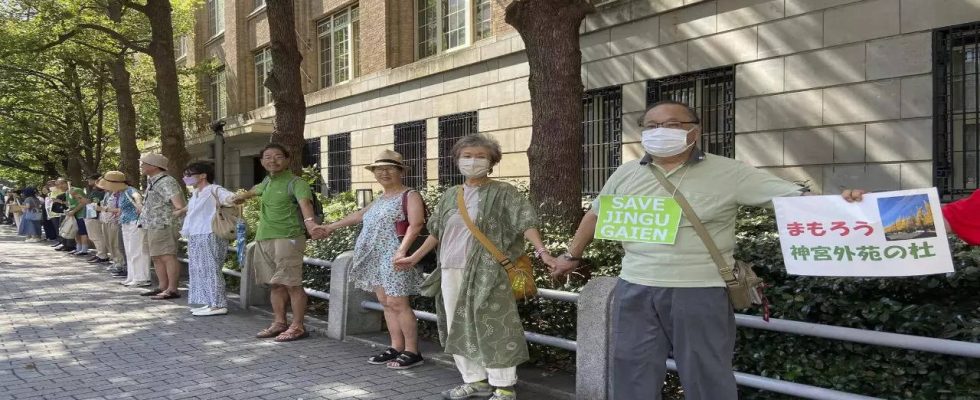 Baeume retten Demonstranten fordern dass Japan Tausende Baeume rettet indem