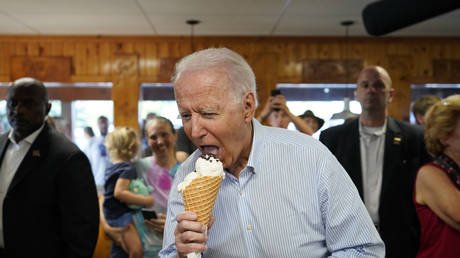 Biden befuerchtet als „dumm wahrgenommen zu werden – Biograf –