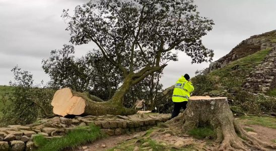 Britische Polizei verhaftet weitere Person weil sie den legendaeren „Robin