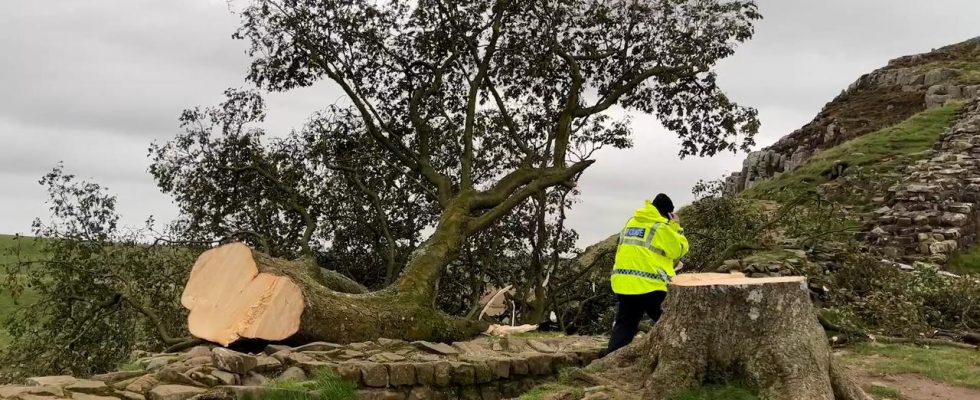 Britische Polizei verhaftet weitere Person weil sie den legendaeren „Robin