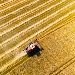 Die ukrainische Wirtschaft waechst es gibt mehr Unternehmer im Land